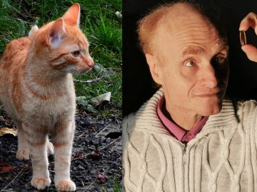 Micík - Micíkovo dvanáctero RNDr. Jaroslav Flegr, CSc.jpg