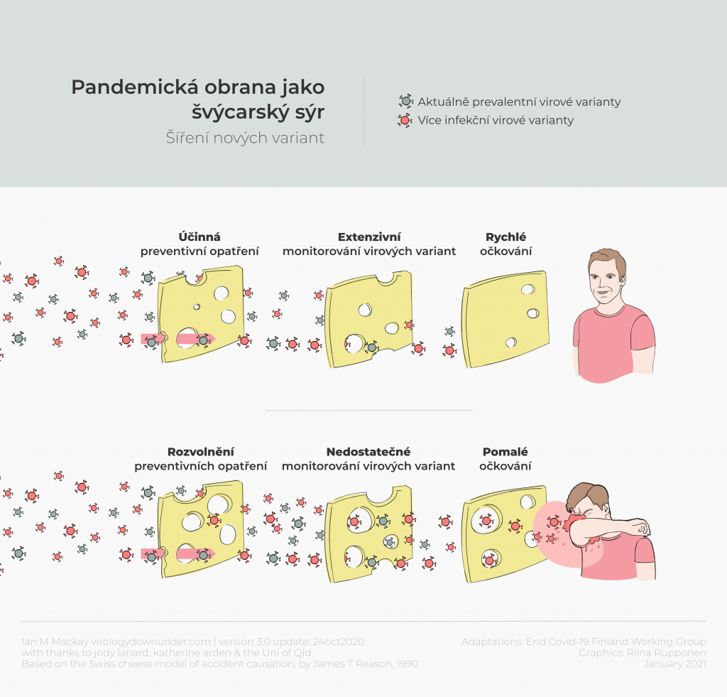 Plátek sýra, znázornění virové nálože