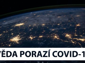 Reakce profesora Zdeňka Hela na výroky kardinála Dominika Duky