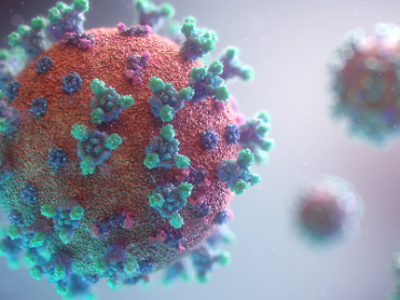 Protilátky a vakcinace u covid-19