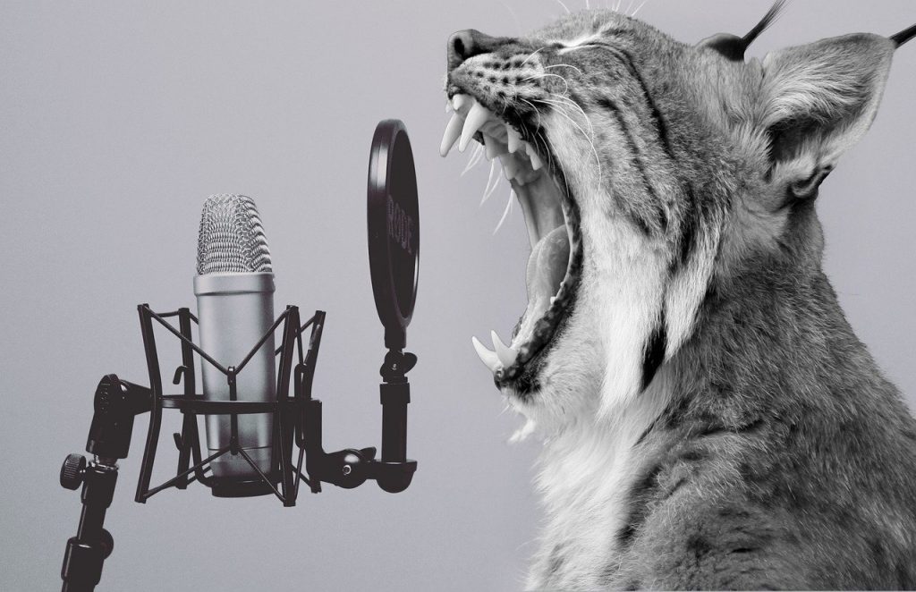 Lynx Animal Microphone Funny Yell  - flutie8211 / Pixabay