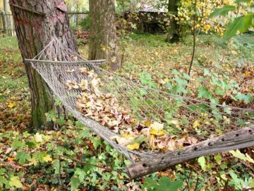 Prof. Dzúrová pro HN : Kvůli pandemii v Česku výrazně klesla naděje na dožití, číslo 150 000 ztracených let života lze doložit